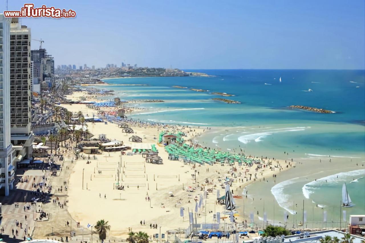 Apt Heart Tlv Arnon 50 Mt From Sea Lägenhet Tel Aviv Exteriör bild